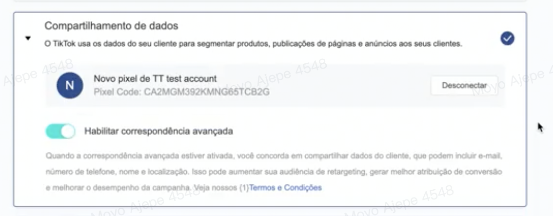 TikTok on Loja Integrada 设置指南