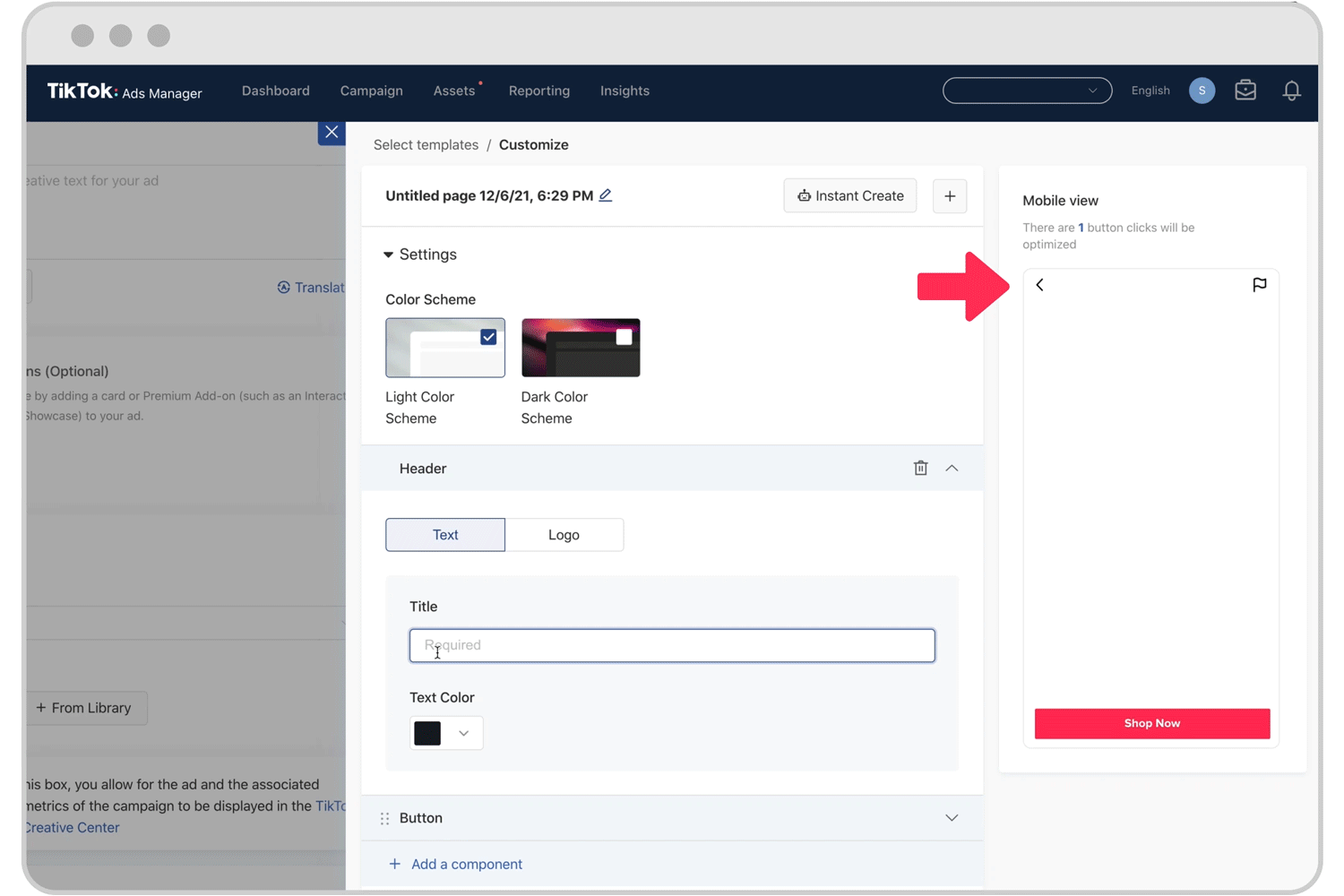 Customize An Instant Page TikTok Ads Manager