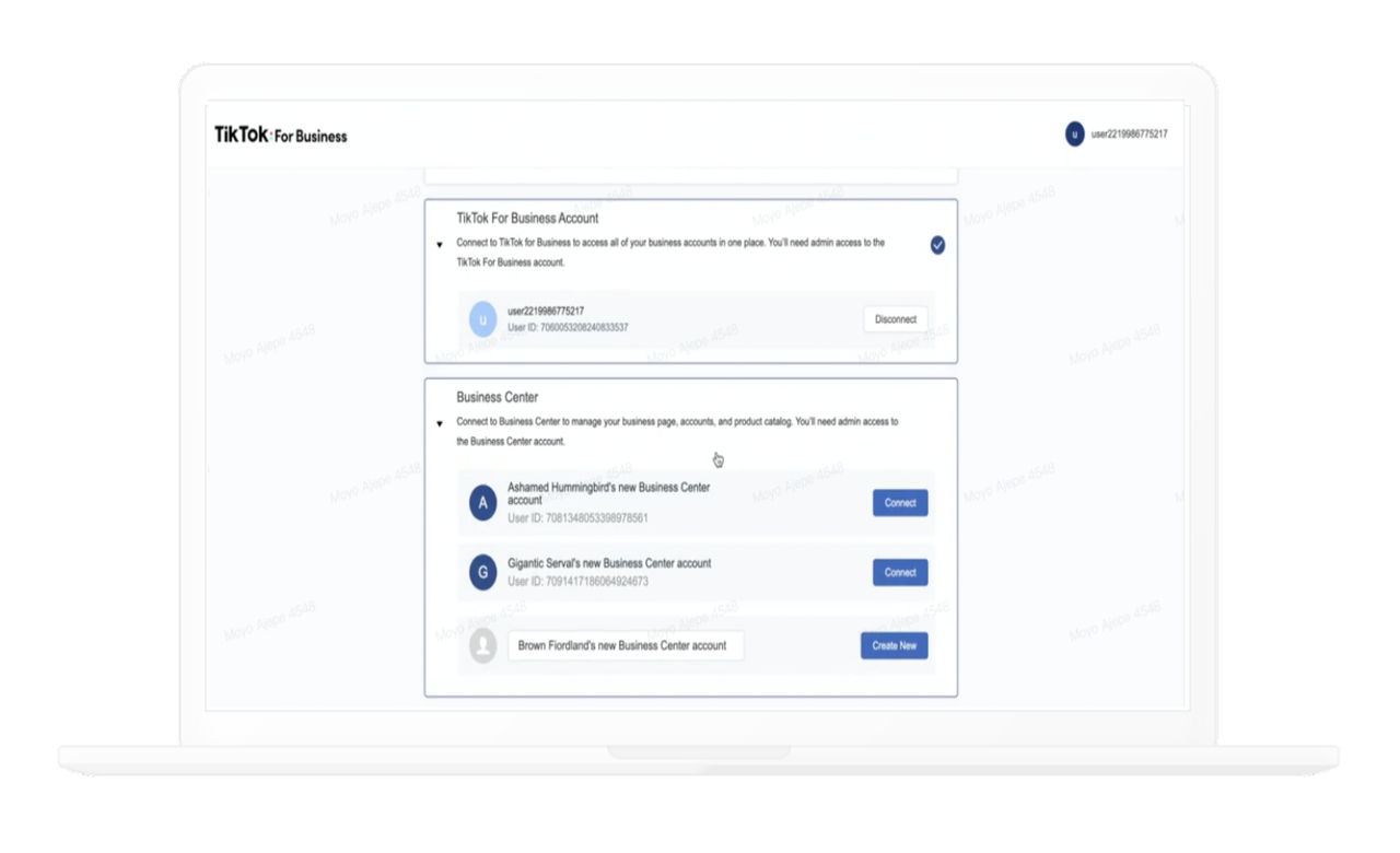 TikTok Collection Ads setup guide for e-commerce businesses