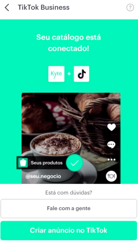 Kyte 上的 TikTok设置指南