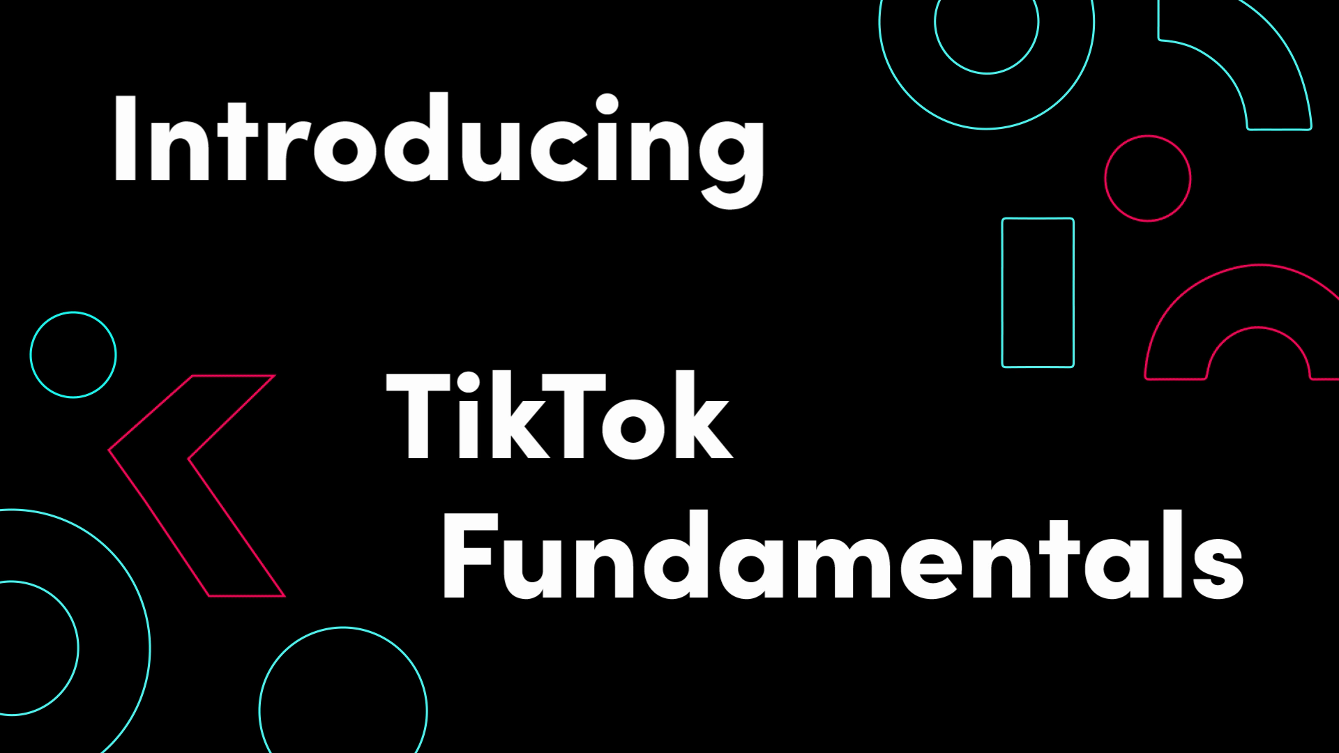 Introducing TikTok For Business